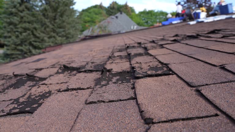 Best Sheet Metal Roofing  in Birdsboro, PA